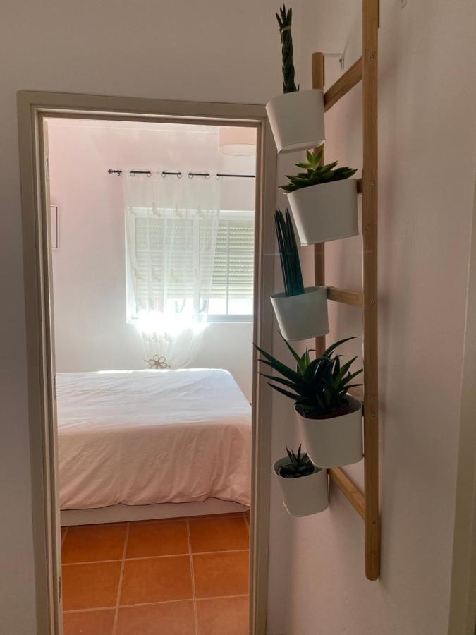 Apartamento Vicentino 빌라노바데밀폰테스 외부 사진