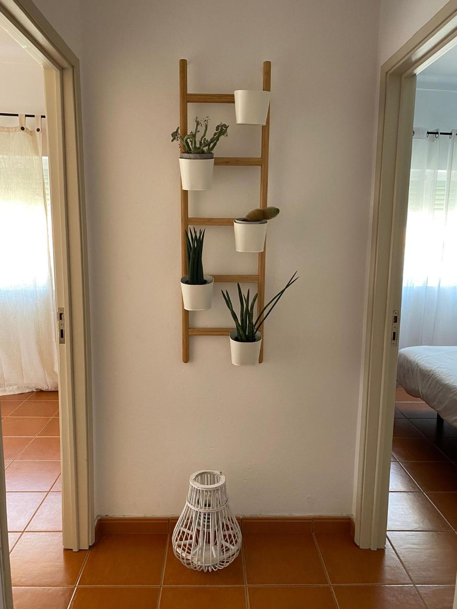 Apartamento Vicentino 빌라노바데밀폰테스 외부 사진